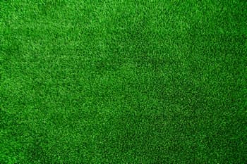 Exceptional Enumclaw artificial grass in WA near 98022