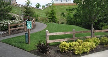 Landscape-Construction-Maple-Valley-WA