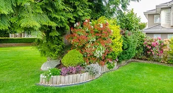 Landscape-Design-Plans-Covington-WA