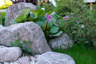 Landscaping-Boulders-Bellevue-WA