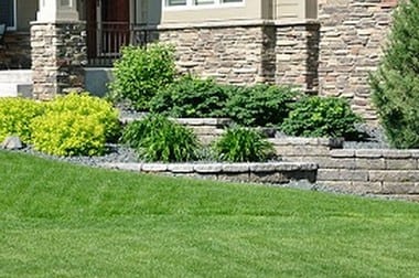 Lawn-Care-Tips-Auburn-WA
