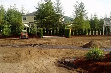 Lawn-Service-Bellevue-WA