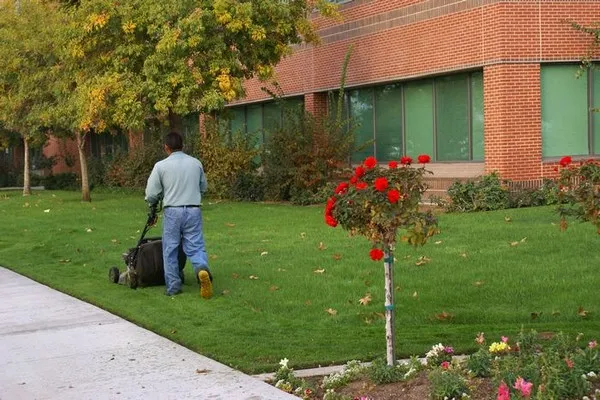 Lawn-Service-Newcastle-WA