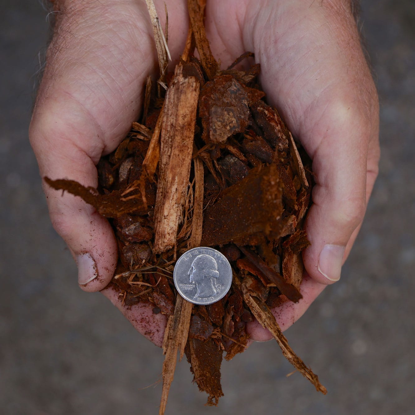 Mulch-Bark - Medium Beauty Bark