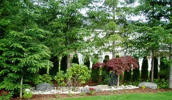 Planting-Grass-Seed-Ravensdale-WA