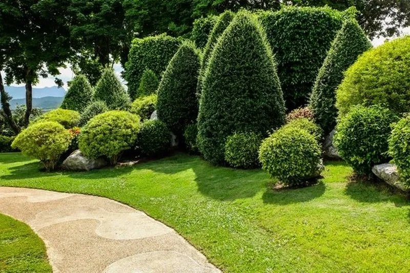 Edible Landscape Design-Sea Tac-WA