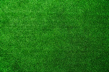 Beautiful North Bend synthetic turf in WA near 98045