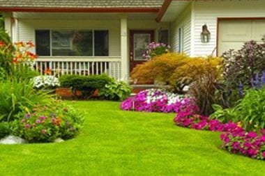 artificial-turf-auburn-wa