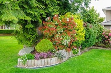 Backyard-Makeover-Bellevue-WA