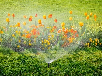 Irrigation-Services-Milton-WA