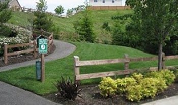 Irrigation-Sprinkler-Maple-Valley-WA