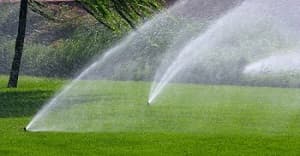 Irrigation-Sprinkler-Newcastle-WA