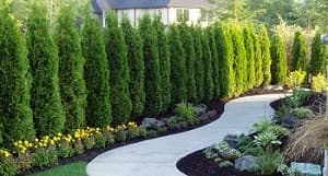 Irrigation-System-Lakeland-Hills-WA