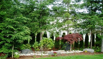 Landscape-Design-Plans-Kent-WA