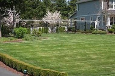 Landscape-Designer-Buckley-WA