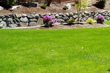 Landscape-Lights-Bellevue-WA