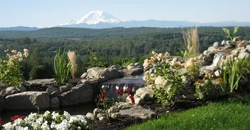 Hobart Landscaping Bushes