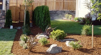 Landscaping-Bushes-Milton-WA