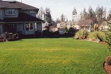 Lawn-Care-Auburn-WA