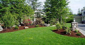 Lawn-Hydroseeding-Medina-WA