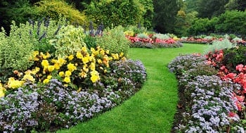 Lawn-Maintenance-Edgewood-WA