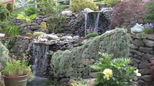 Lawn-Maintenance-Puyallup-WA