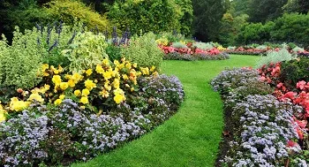 Lawn-Service-North-Bend-WA