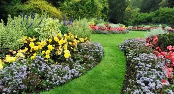 Lawn-Service-Woodinville-WA