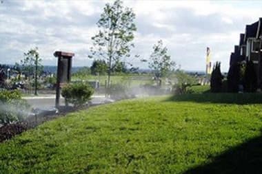 Lawn-Sprinkler-System-Bellevue-WA
