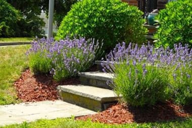Mulch-Installation-Clyde-Hill-WA