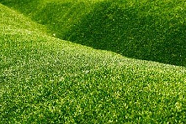 synthetic-grass-auburn-wa