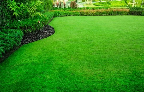 Lawn-Service-Kirkland-WA