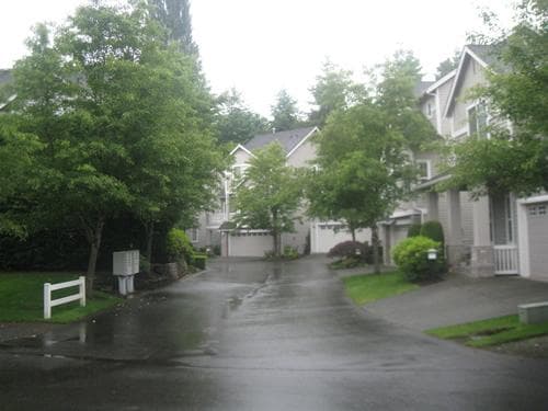Commercial-Landscape-Maintenance-Kirkland-WA