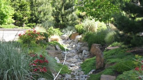 Commercial-Landscape-Service-Kirkland-WA