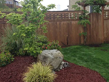 Best Black Diamond debris removal in WA near 98010