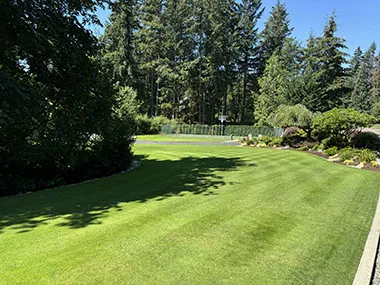 Professional Black Diamond lawn maintenance in WA near 98010