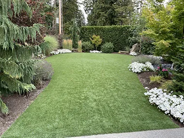 Black Diamond Artificial Grass Services