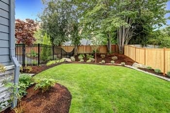 Federal Way Backyard Landscaping