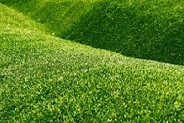 Bellevue Irrigation System