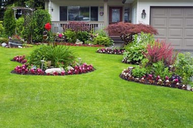 Bellevue Landscape Design