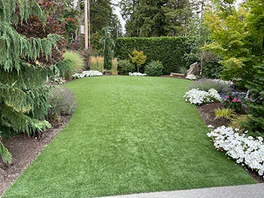 Bellevue Lawn Care
