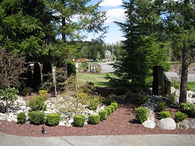 Buckley Fall Yard Clean Up