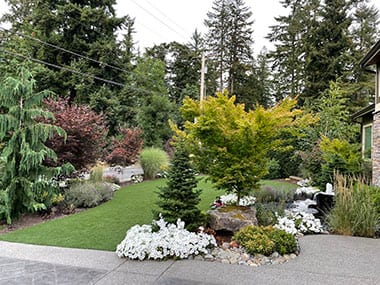 Buckley Yard Clean Up