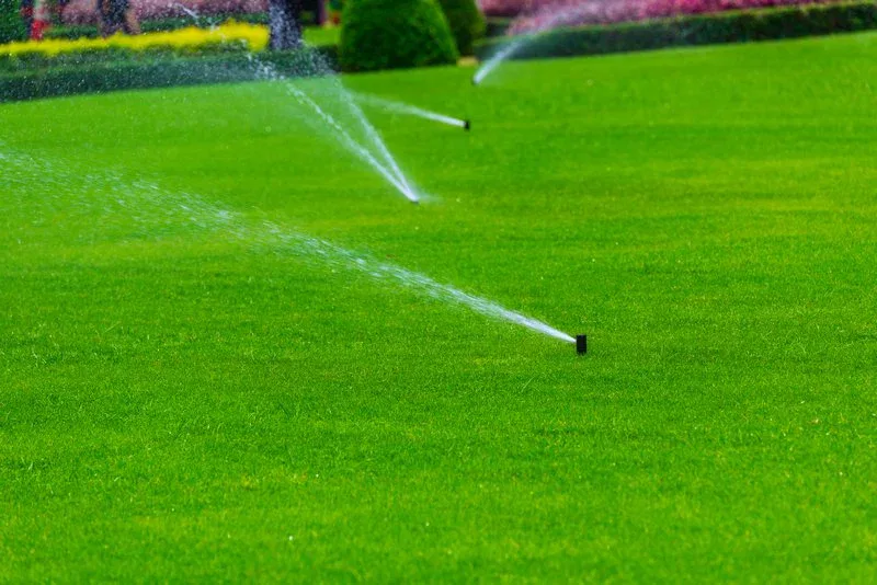 Burien Sprinkler System
