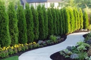 Edgewood Tree Care