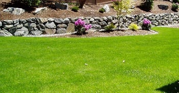 Enumclaw Lawn Care Tips