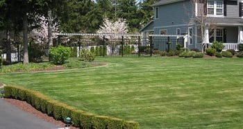 Enumclaw Lawn Services