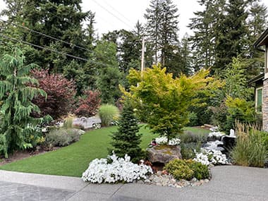 Enumclaw Yard Clean Up