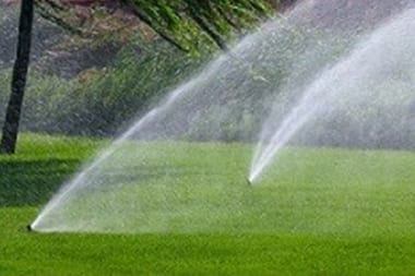 Issaquah Irrigation Sprinkler