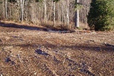 Issaquah Lawn Hydroseeding
